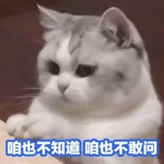 2020爆款彩妆,2022最值得买的彩妆