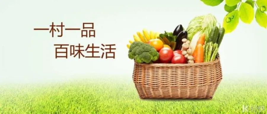 云南省一村一品名单,大理州乡村振兴试点村名单