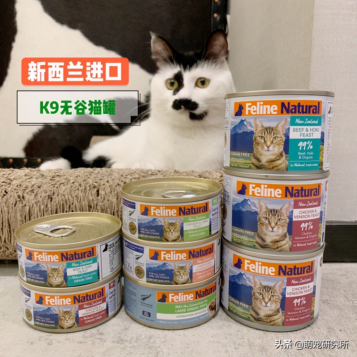 猫罐头哪个品种最好,口碑最好的十大猫主食罐头非冻干