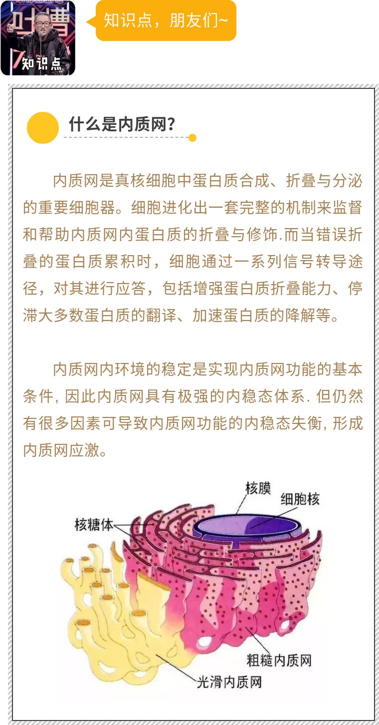 我们人体排毒系统有多强,细胞自噬对身体不好