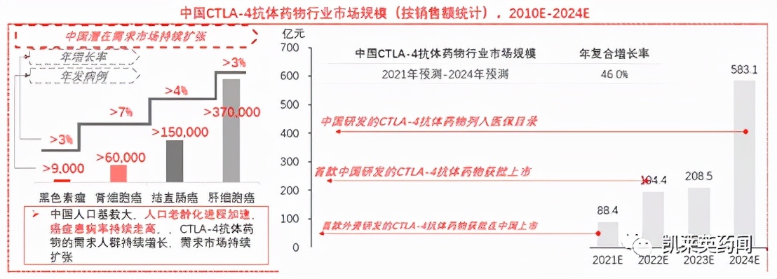 CTLA-4与免疫治疗,ctla-4介导的免疫治疗原理是什么