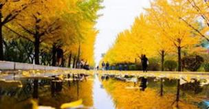 沈阳农业大学:学科评估、就业质量情况