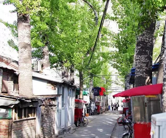 走进广州城中村感受其独特魅力,广州最难开车的城中村