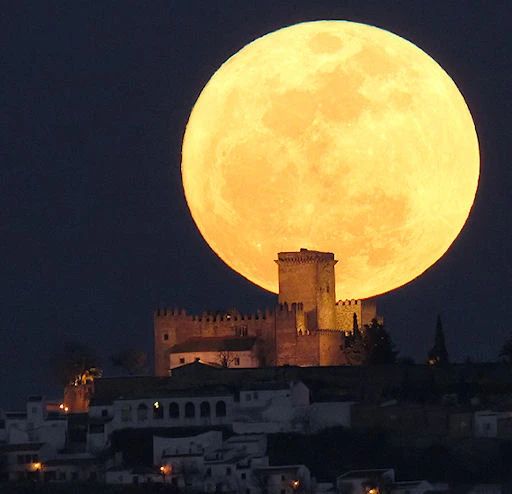 看见巨大的雕像就害怕,看到巨大的佛像会恐惧