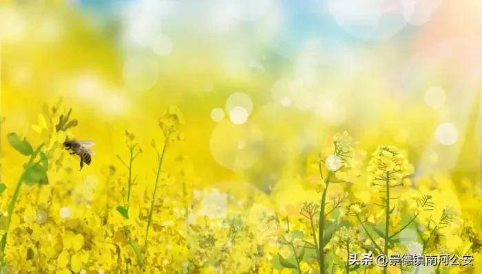 100句绝美春日诗词温柔又浪漫,最唯美春天的诗句古诗