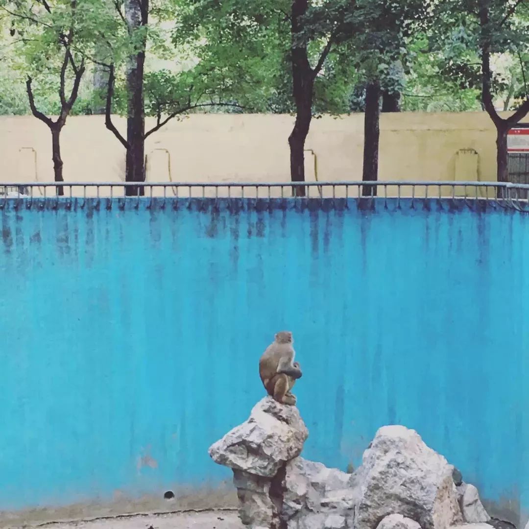 暴走咸阳15个小时，这15家美味店铺太太太好吃了