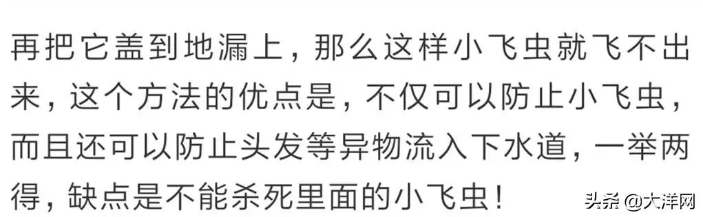 怎样根治家中的小飞虫,家里一堆小飞虫怎么解决
