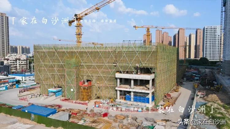 洪山万科viviland空中花园,洪山万科广场viviland店