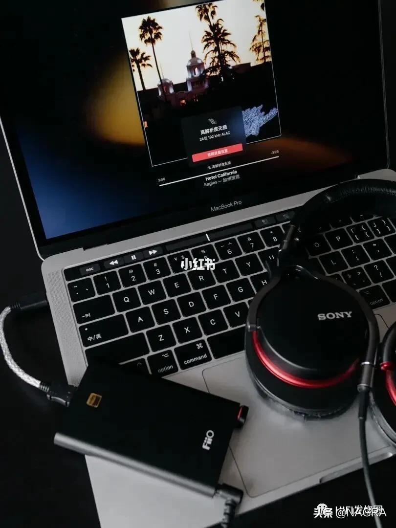 applemusic无损实测,applemusic无损和高质量区别