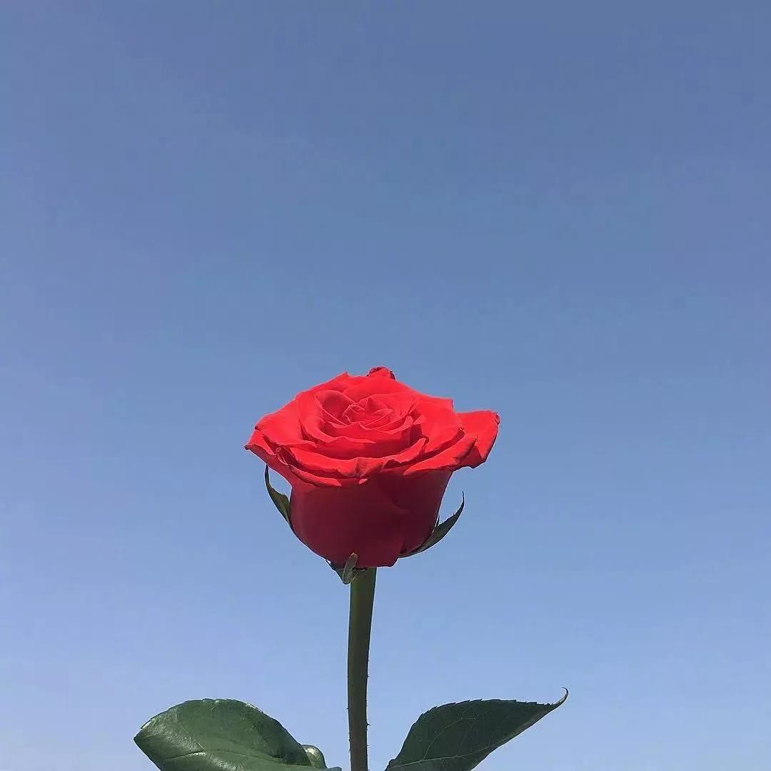 愿岁月静好度细水流年图片,惟愿岁月静好安度细水流年