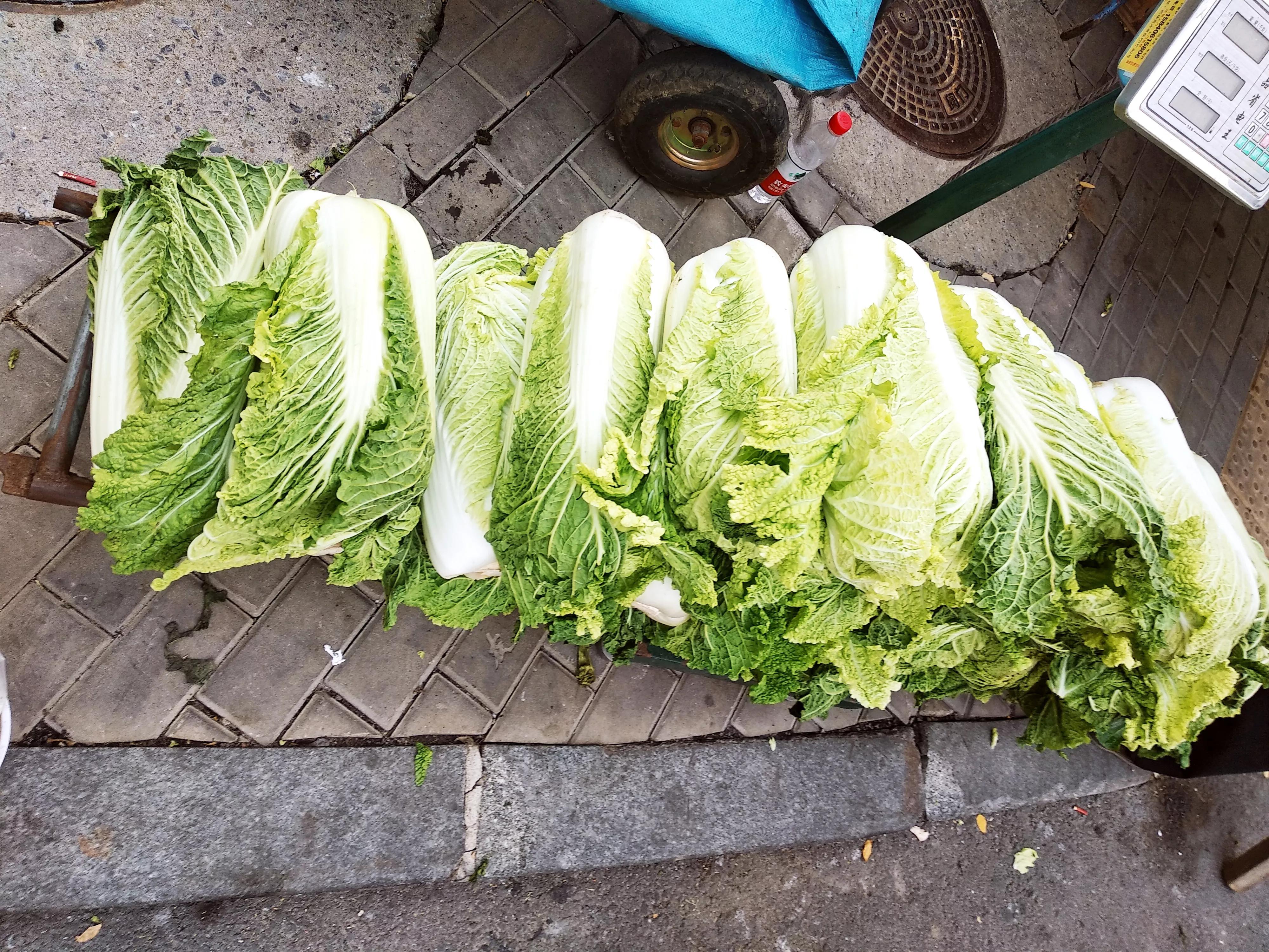 白菜上市!长棵的、短棵的、黄心绿帮的,哪种好?听听大妈怎么说