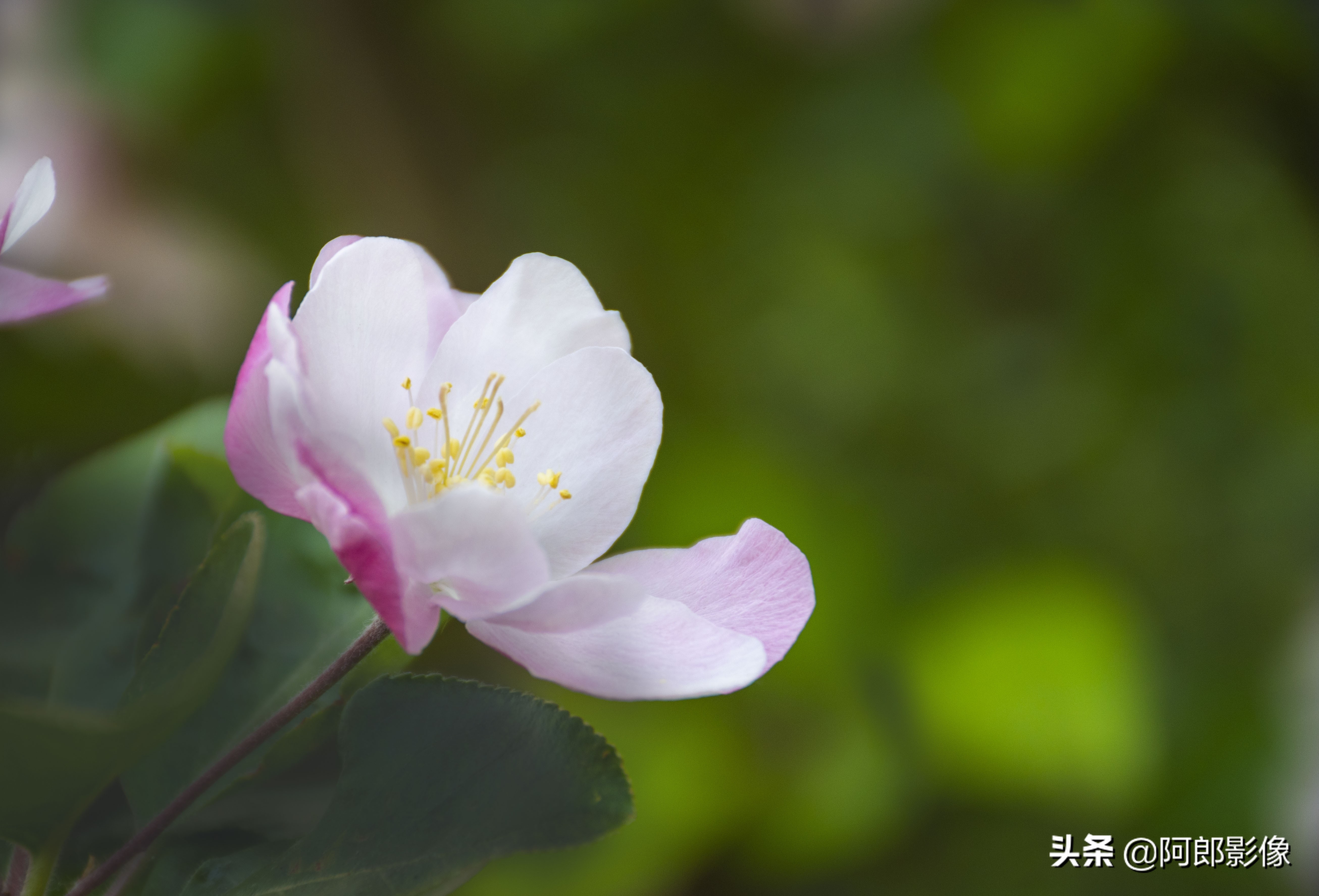 跟着阿东学摄影,跟着阿牛师傅学知识