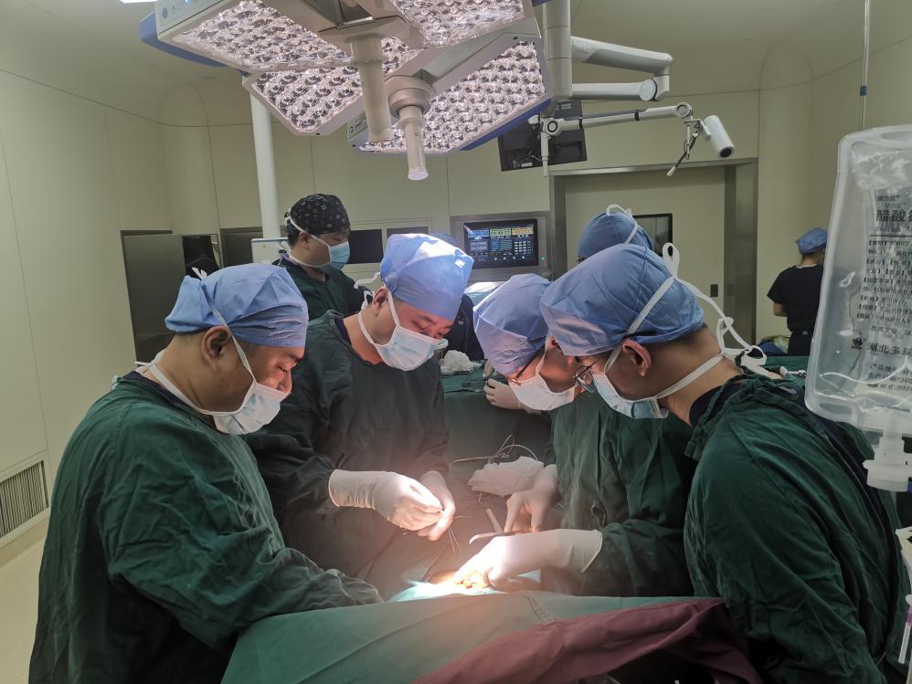 晚期胃癌患者的生存,晚期胃癌患者的抗癌经历