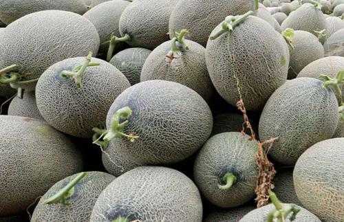 有哪些非常冷门的冷知识,那些非常冷门但实用的冷知识