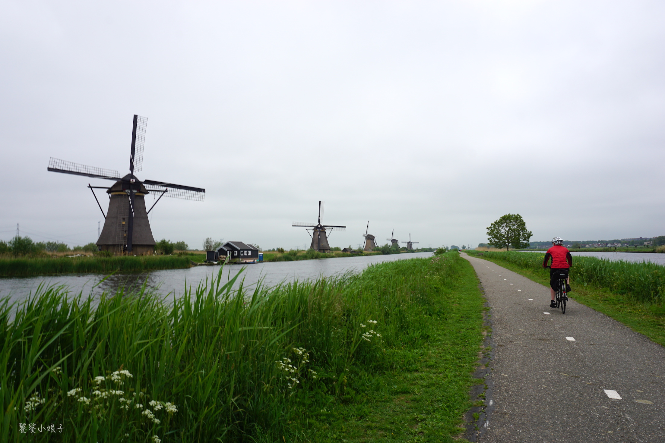 荷兰风车为什么这么多,荷兰为什么被称为风车国