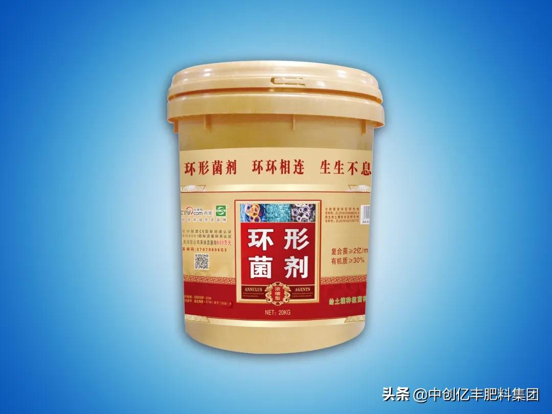 重茬红薯的病害怎样解决,红薯储藏期间病害症状