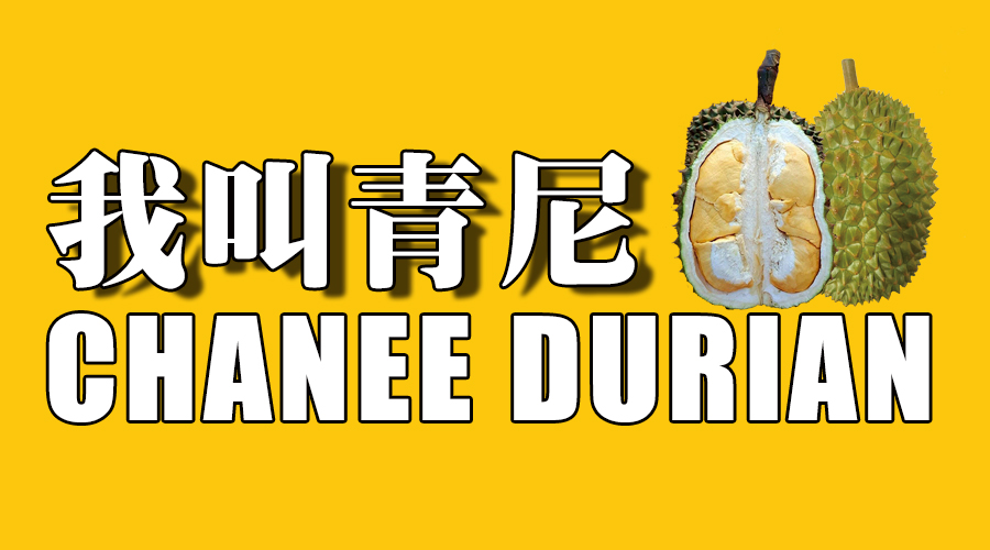 榴莲品种d13,泰国榴莲d197是什么品种