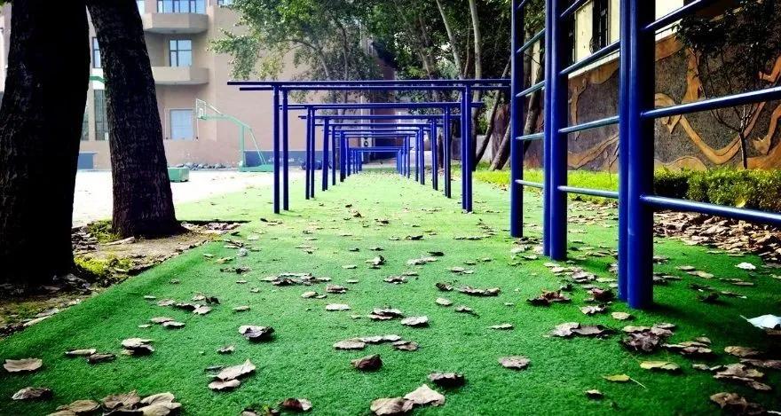 大连五中vs金州高级中学,大连五中高中