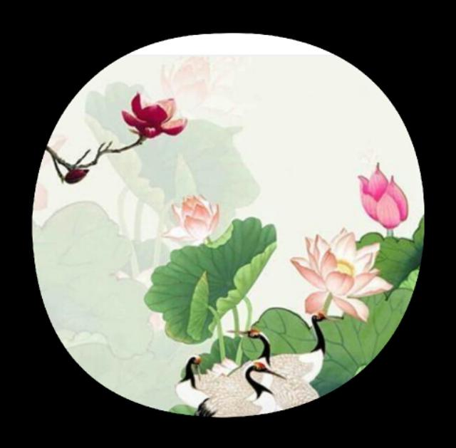 巜以苏轼之名，品味宋代极致美学》——王伟书法之十五