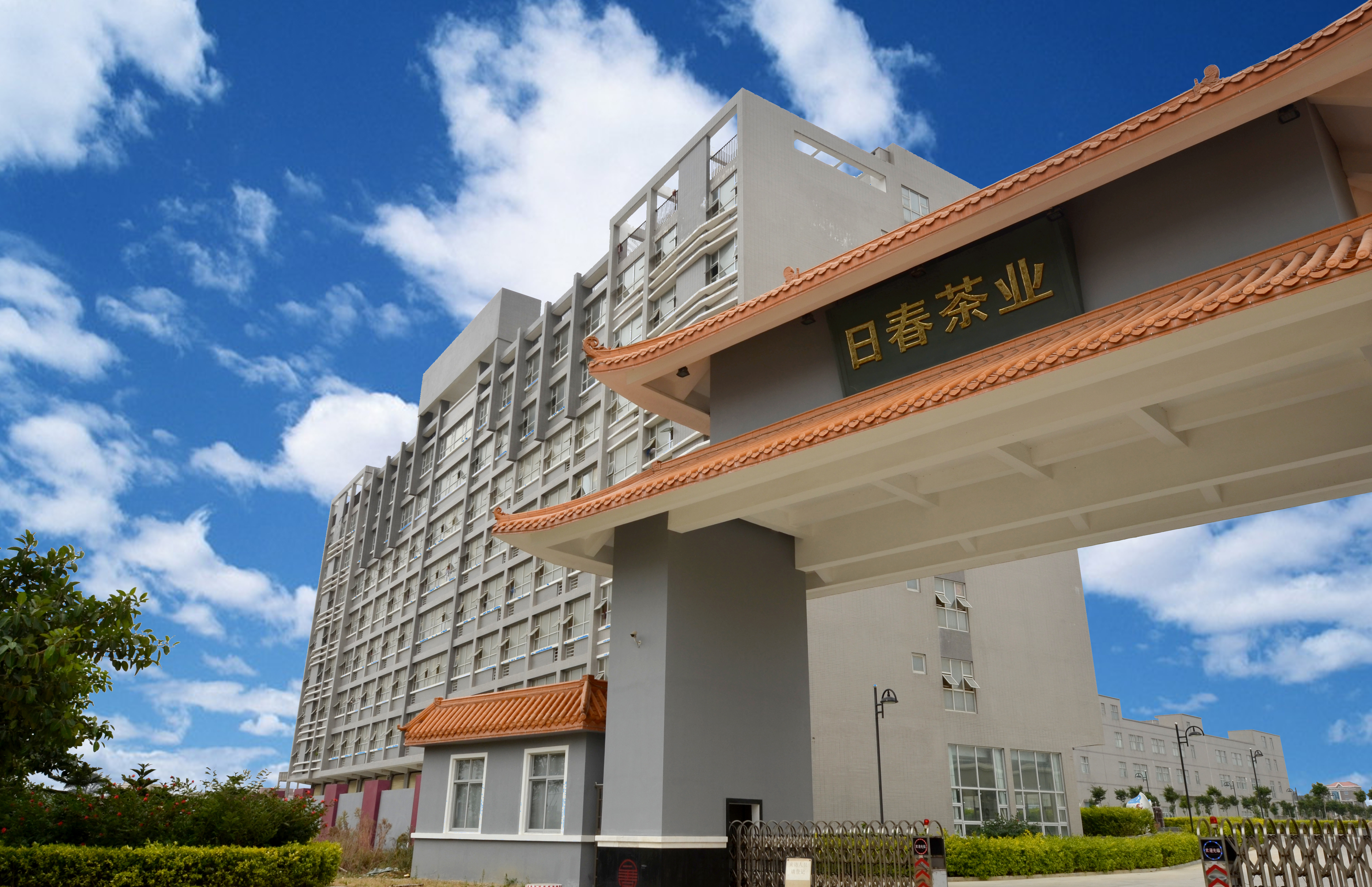 安溪县六大名茶,安溪铁观音爆款榜