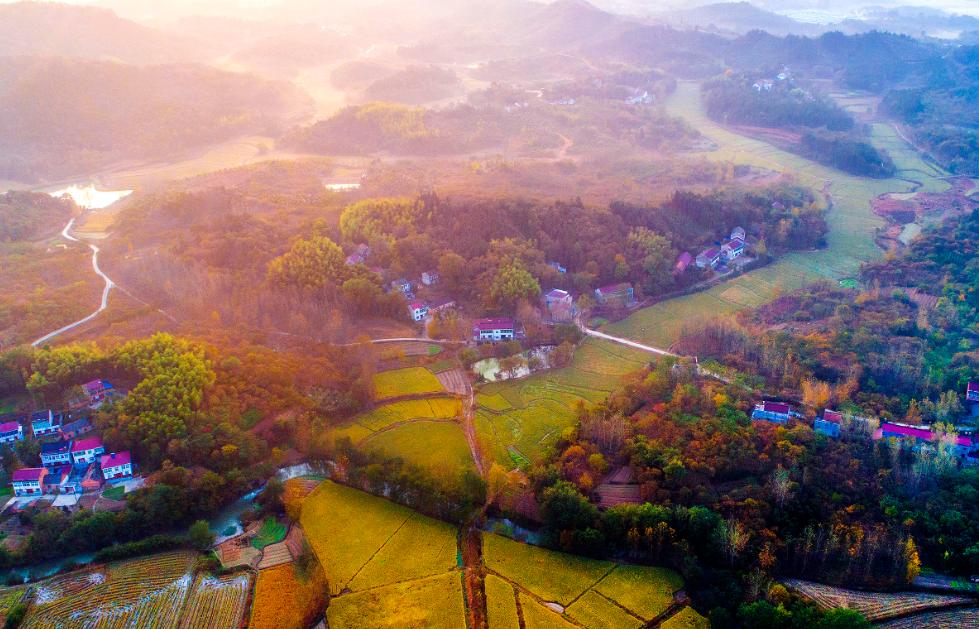 王祖贤回家照片,当年王祖贤回安徽视频
