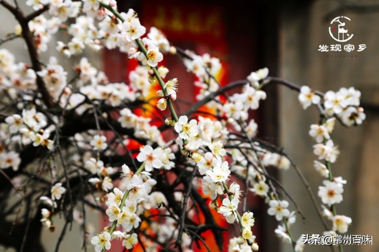 四季更迭时光流转又是新的一年,四季变迁春去秋来