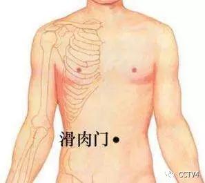 中医穴位减肥按摩手法全程教程,自己用艾灸减肥最快的穴位图解