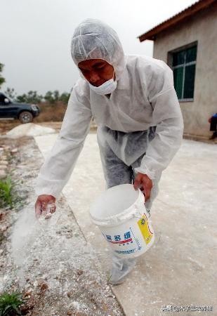 猪蹭痒、脱皮怎么回事？猪场常见的寄生虫有哪些，怎样驱虫才有效