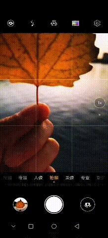 秋天如何拍摄好看的秋叶,秋天里的一片红叶