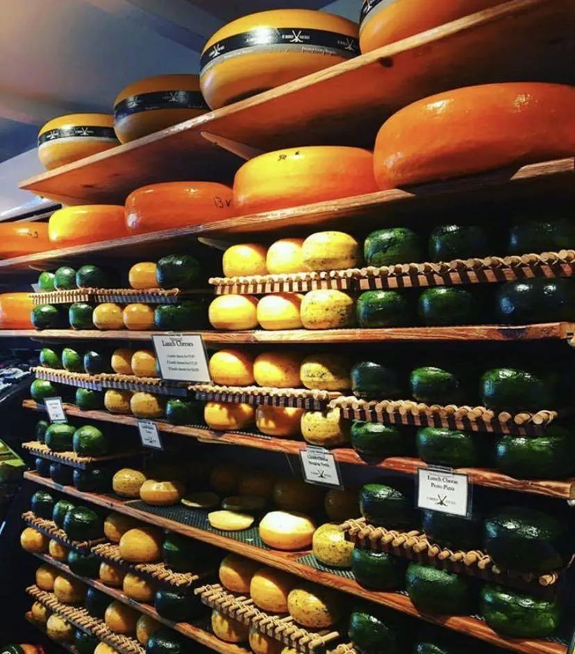 荷兰|当热爱与艺术交织,运河边的你被治愈了吗?