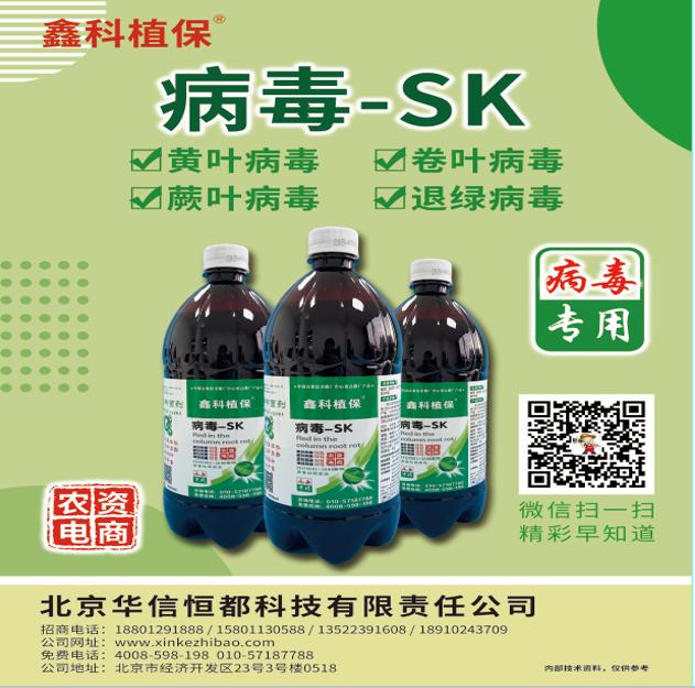 严防瓜类作物爆发病毒,夏季瓜类病毒病