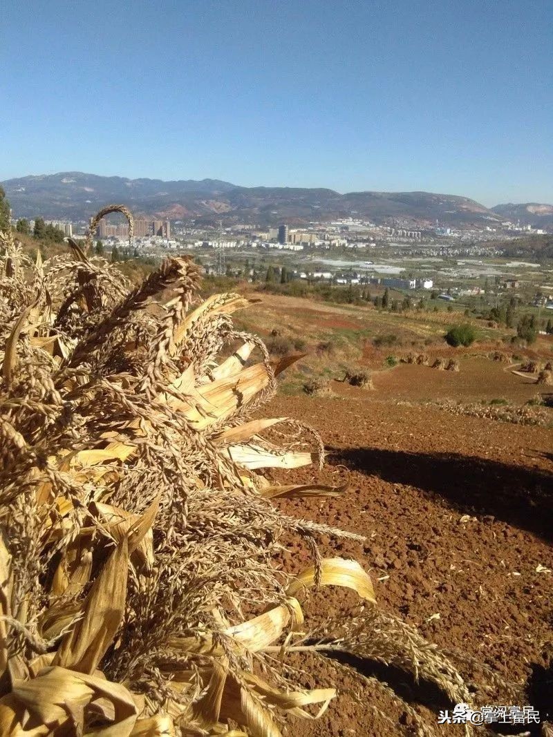 家乡是我们成长的沃土,家乡是生养我们的地方