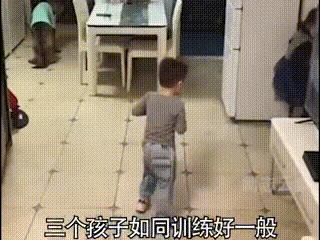 妈妈训孩子狗子护孩子,家长教育孩子对待宠物