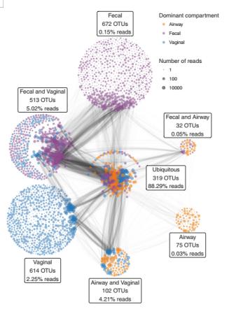 妊娠期母体呼吸系统变化,母体激素调节