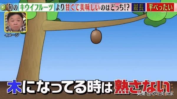 奇异果快速变甜,奇异果变甜小窍门