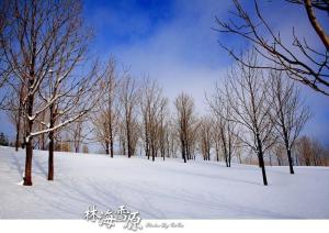 中国黑龙江省的所有市,中国黑龙江介绍