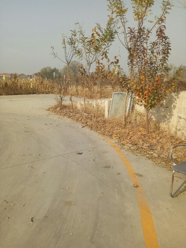 皮卡科目二考试技巧大全,皮卡科目二半坡起步