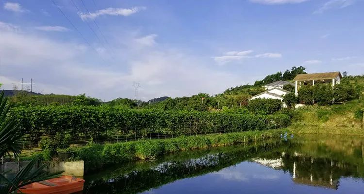 琼中秋之韵山水民宿,琼中蜜柚山庄民宿