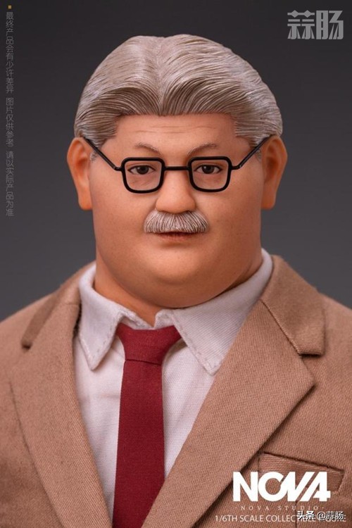 nova妯辨湪鑺遍亾,nova瀹夎タ鏁欑粌