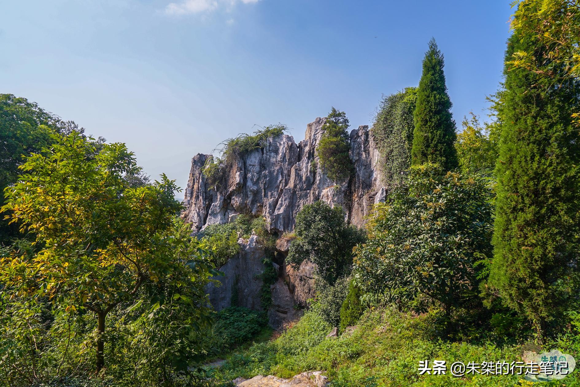 苏州太湖第一岛简介,苏州太湖原生态小岛