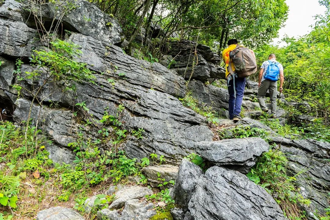 徒步穿越秦岭无人区,徒步穿越喀斯特森林