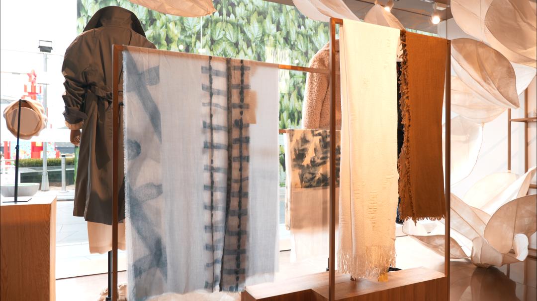 cbd鍖椾含鎺㈠簵,鍖椾含灏忎紬搴楅摵鎺㈠簵