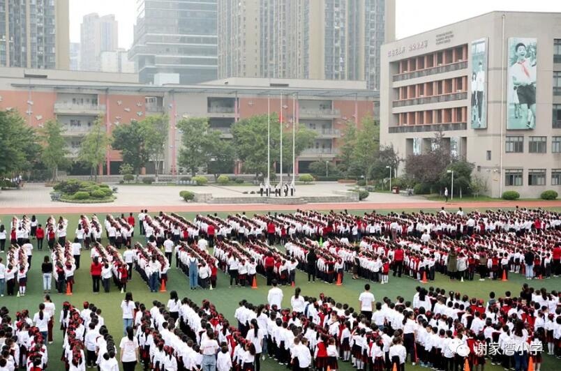 重庆谢家湾小学划片,重庆小学名校