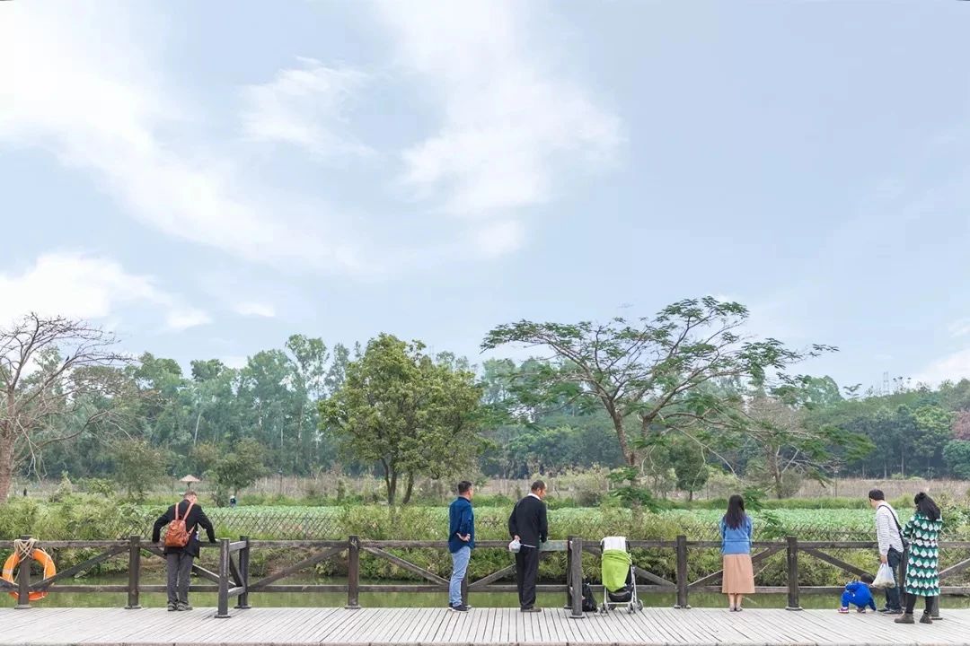 深圳周末浪漫好去处,深圳浪漫约会地点十个景点