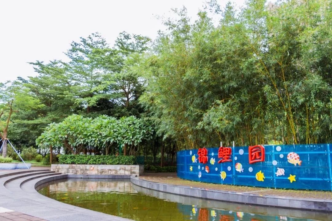 深圳地铁7号线有什么好玩的,深圳地铁十四号线游玩攻略