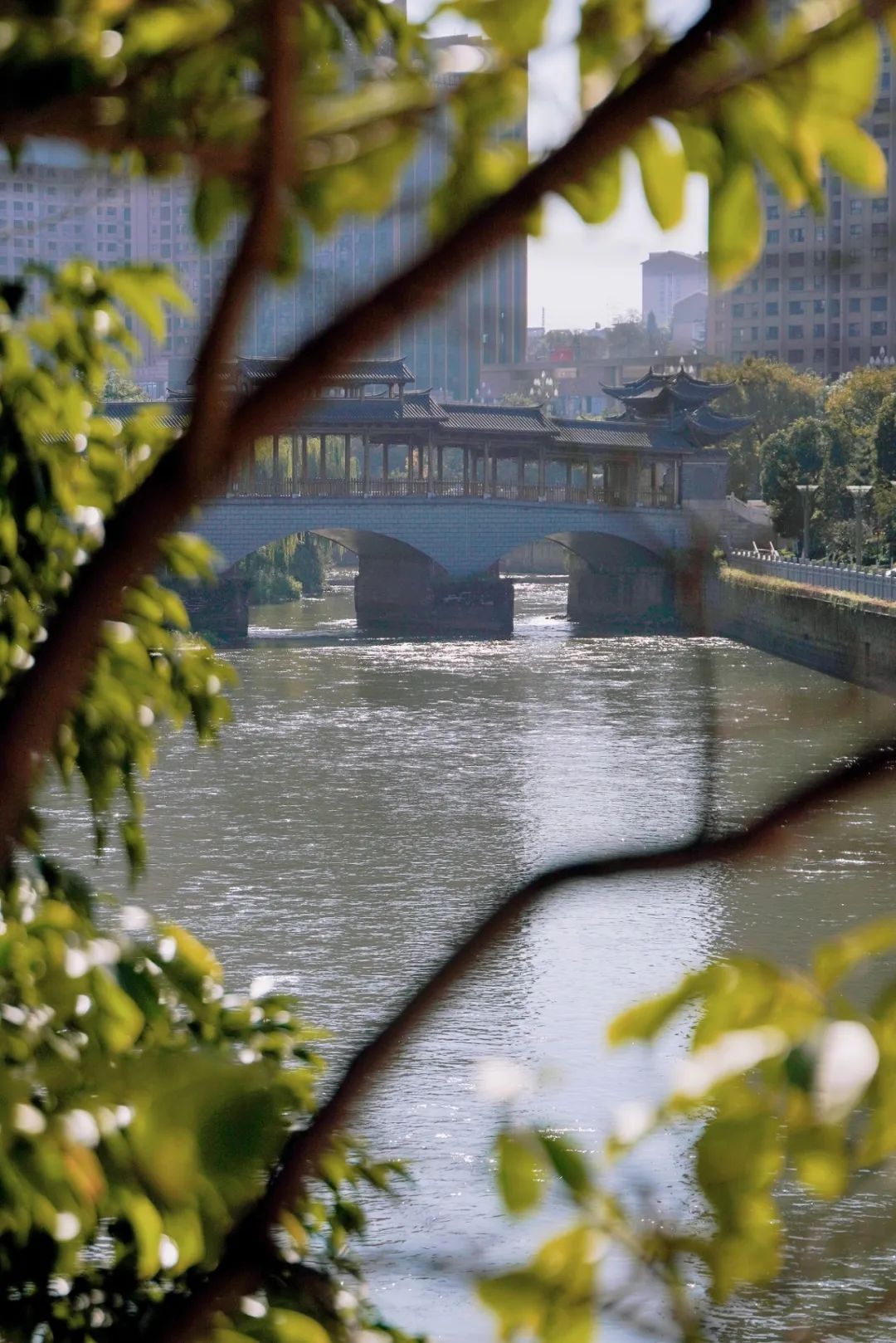 昆明避暑冷惨了外省人,昆明过冬真实感受