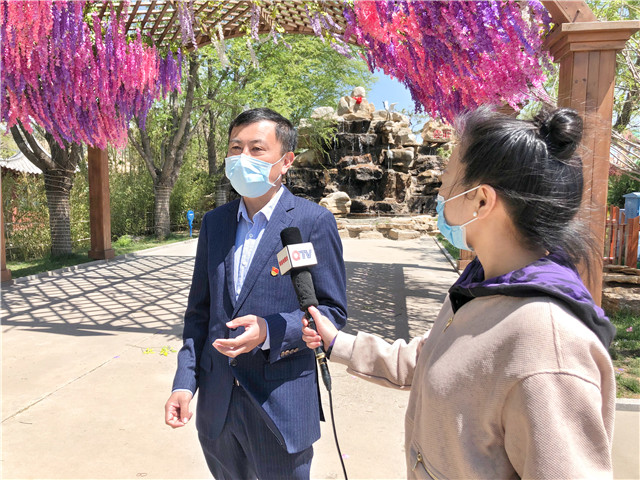 青岛市文旅大项目,青岛文旅创意项目