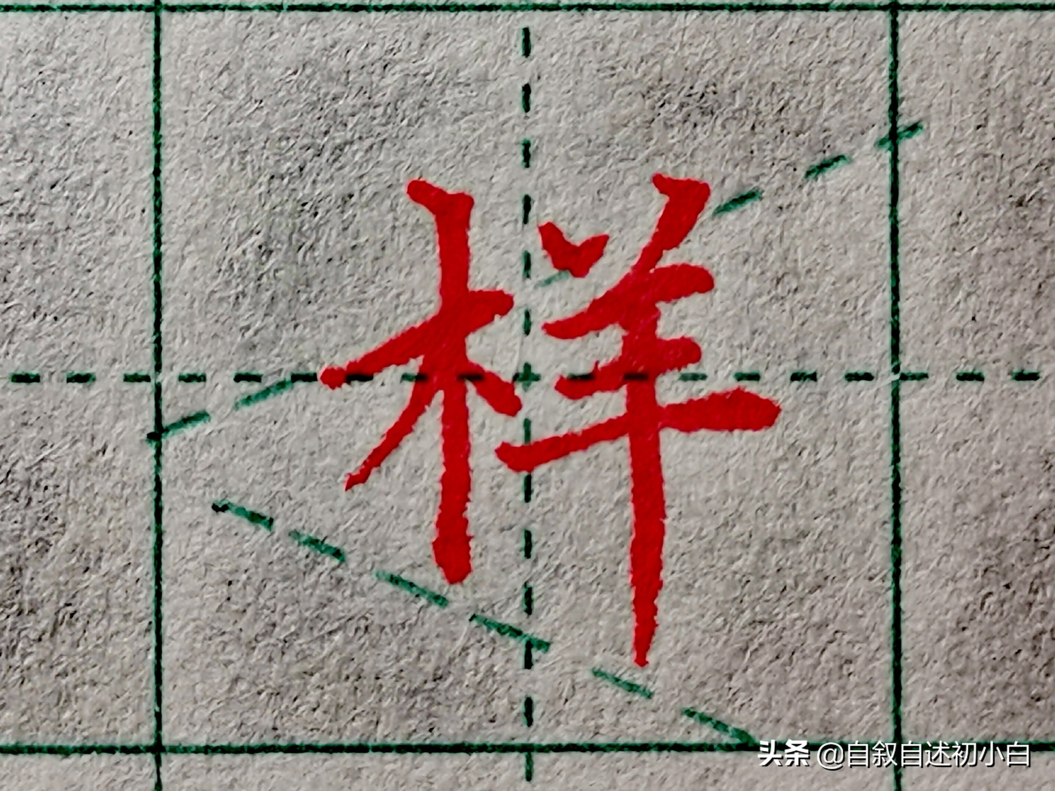 木字旁楷体书法入门,木字旁的生字练习