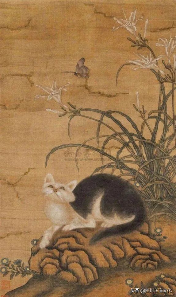 猫的故事高清图片,盘点猫的曾经故事