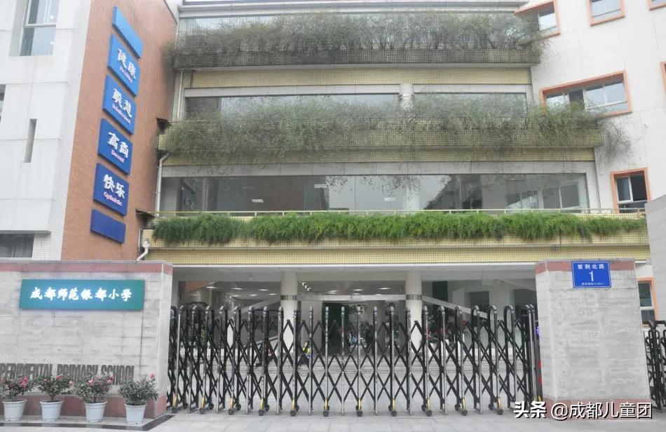 被称为五朵金花,成师附小华润分校算五朵金花吗